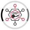 ERP Leader -Euro